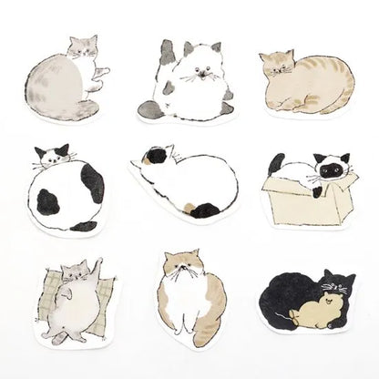 Bande Writable Cat Roll Sticker