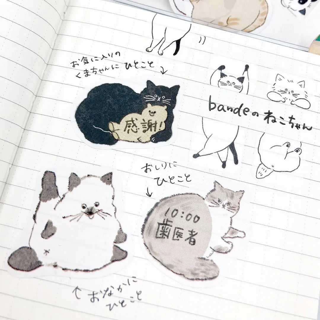 Bande Writable Cat Roll Sticker