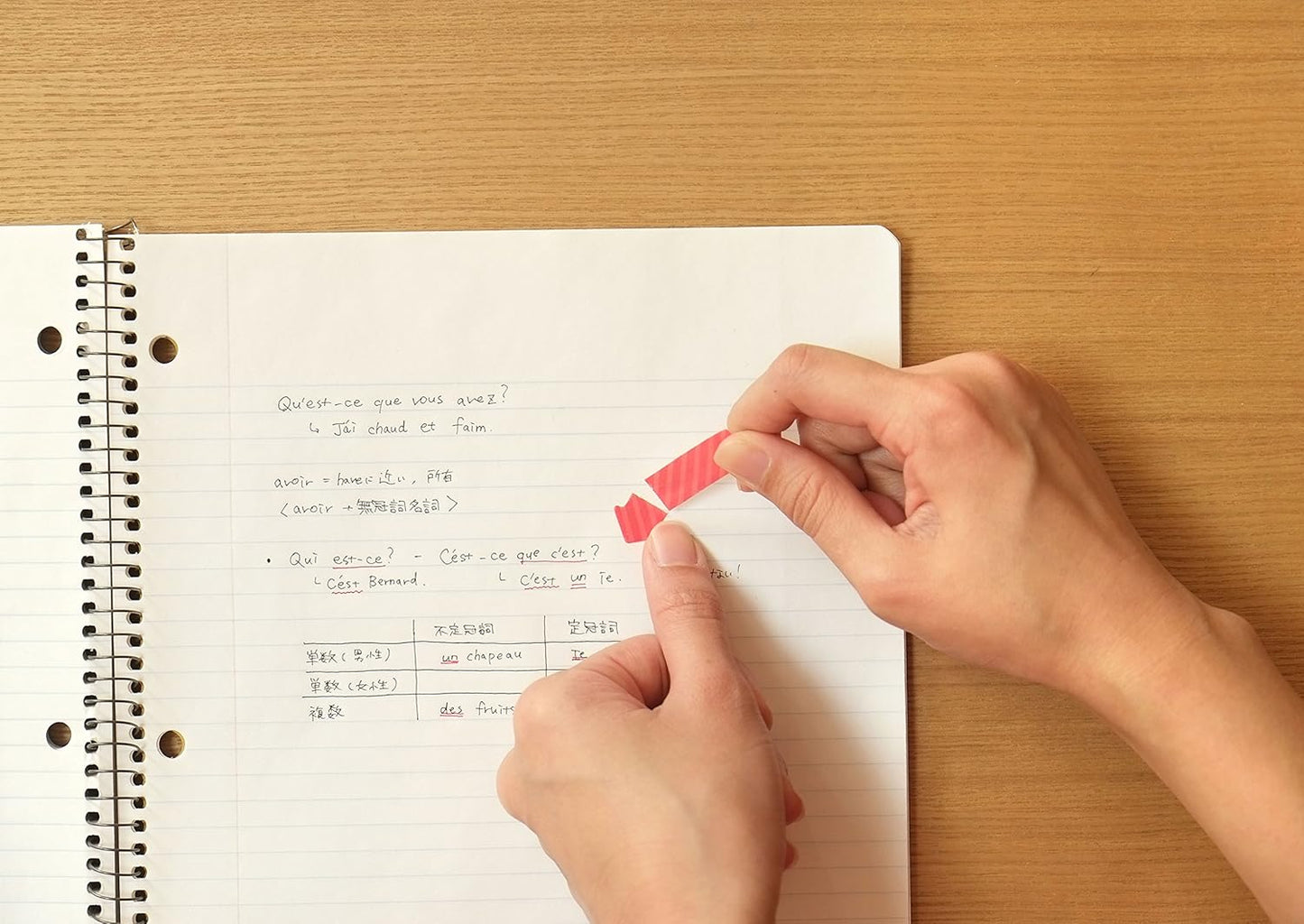 Beverly Chiikawa Cocosasu Sticky Notes