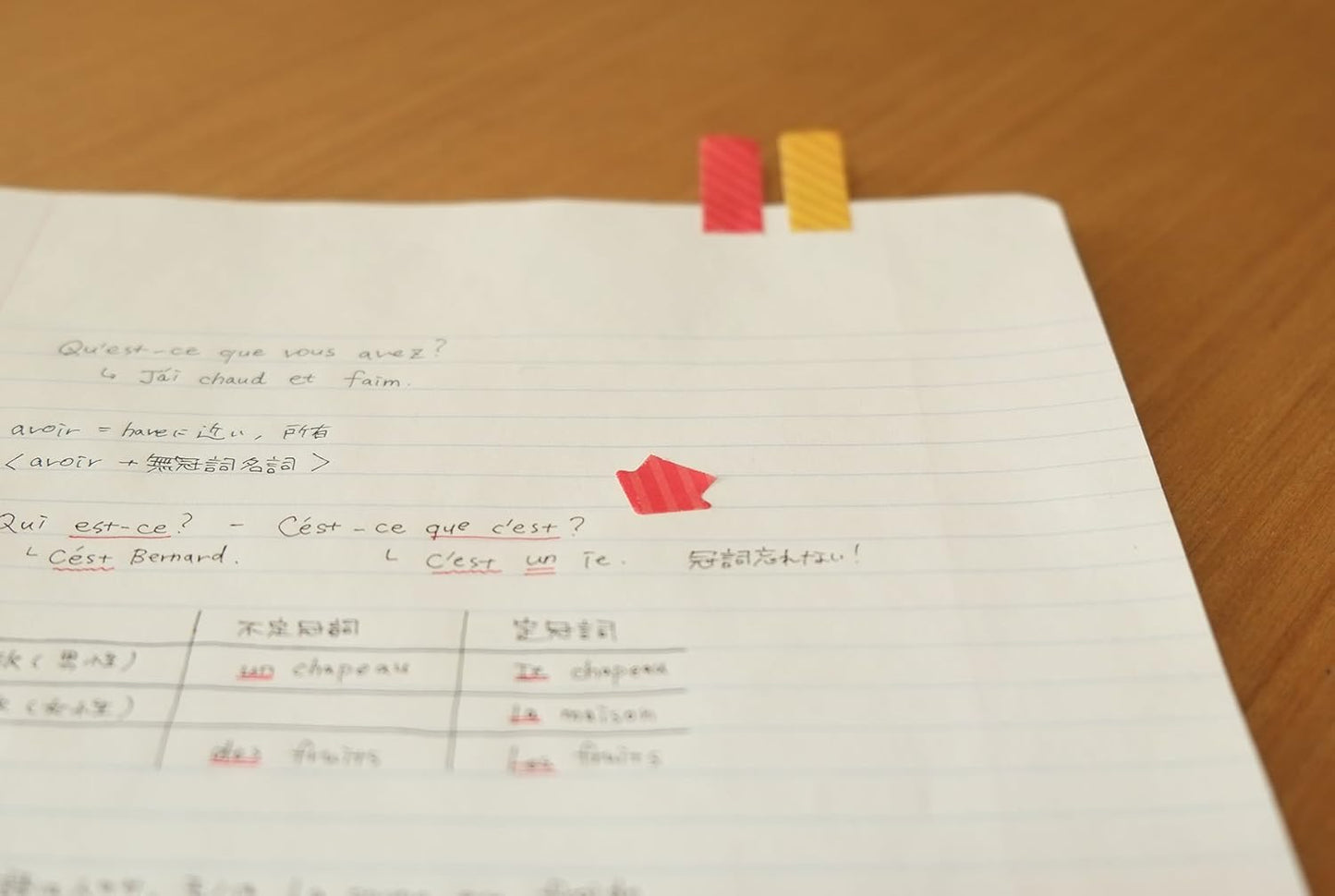 Beverly Chiikawa Cocosasu Sticky Notes