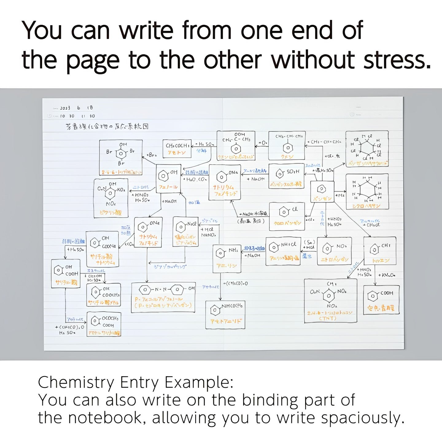 Kokuyo Campus Flat Pleasant Notebook - B5