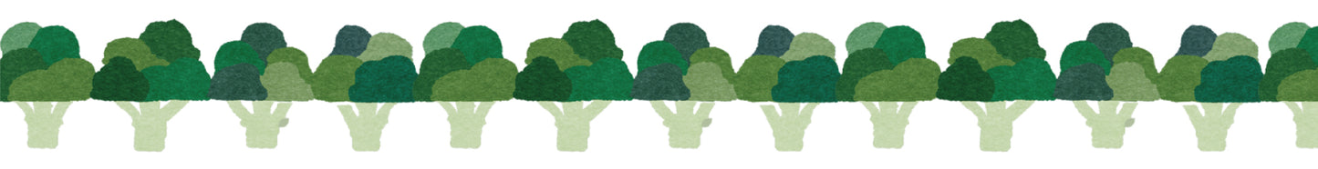 MT Ex Broccoli Washi Tape